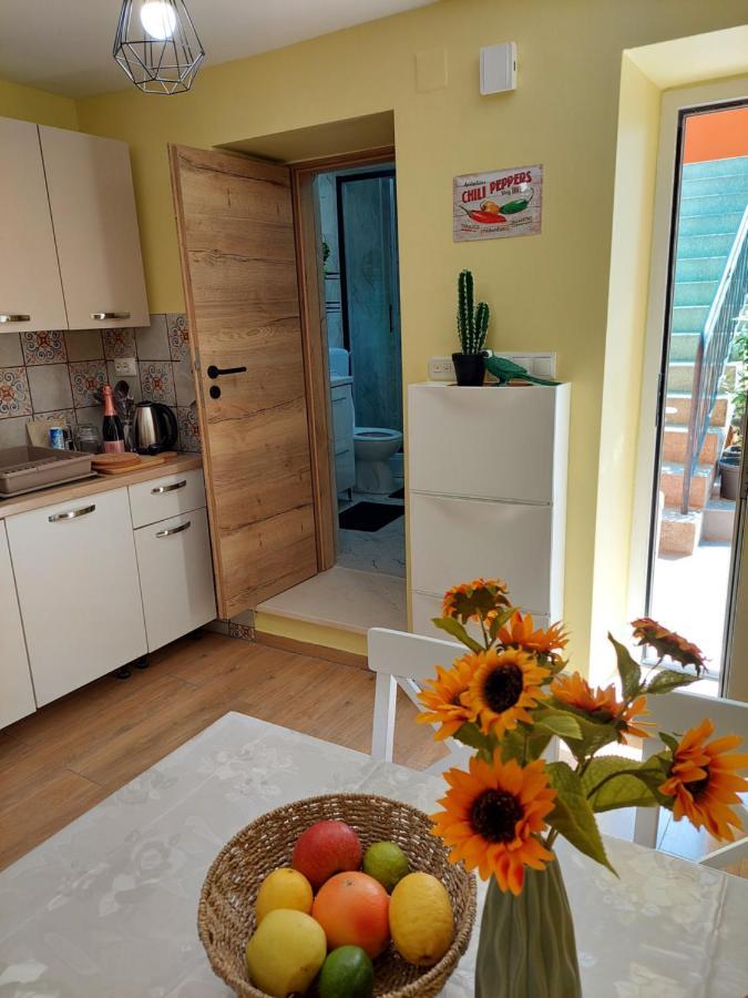 Mexicana Apartment Yellow زادار المظهر الخارجي الصورة
