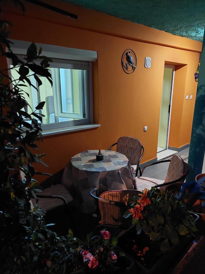Mexicana Apartment Yellow زادار المظهر الخارجي الصورة