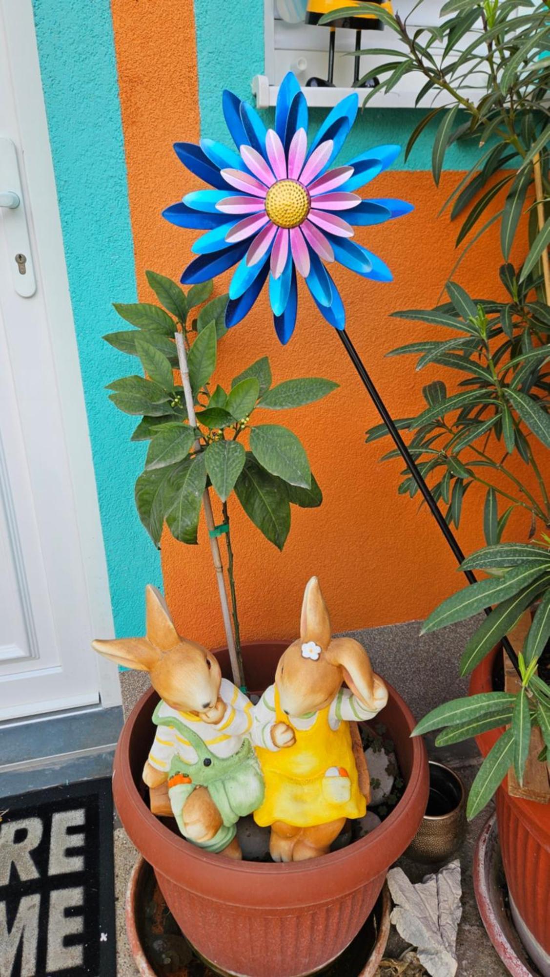 Mexicana Apartment Yellow زادار المظهر الخارجي الصورة