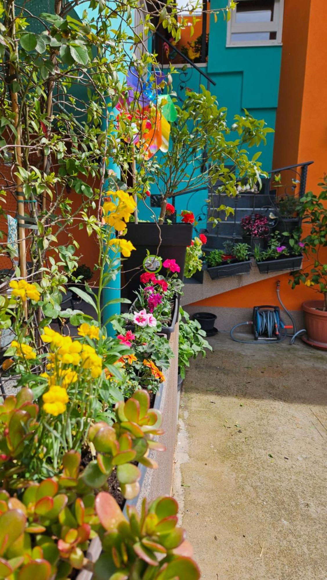 Mexicana Apartment Yellow زادار المظهر الخارجي الصورة