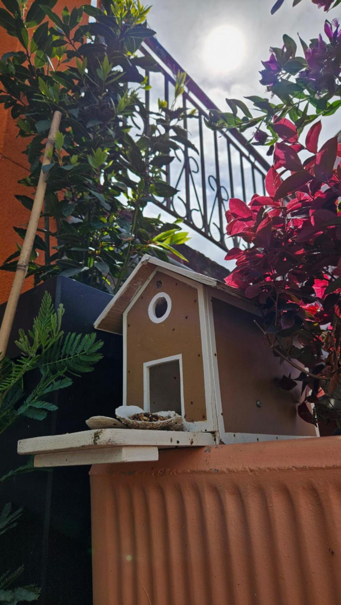 Mexicana Apartment Yellow زادار المظهر الخارجي الصورة